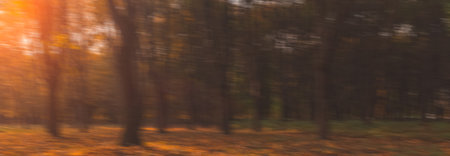 autumn seasonal panoramic background blur dusk orange colors in park October sun light effectsの写真素材