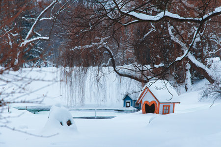 winter park landscape frozen lake with bird house nature scenic design environment space with white snow and bare tree branchの写真素材