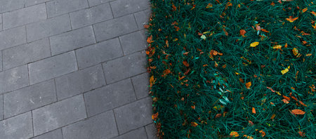 street tile and grass lawn with falling leaves in September autumn season dry day wallpaper panorama background concept with empty copy space for your text hereの写真素材