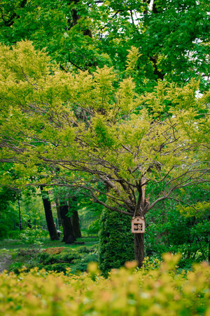 summer day time garden floral natural park environment vertical photo of green foliage trees and wooden bird house hanging on branch plant objectの写真素材