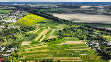 outskirts village country side aerial top view Ukraine field agriculture space landscape end of summer harvest season scenery viewの写真素材