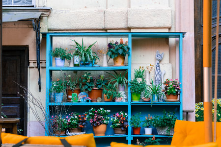 vintage cupboard after repair cheap decorative flower pot of shelfs outdoor yard outskirts urban local art hipster placeの写真素材