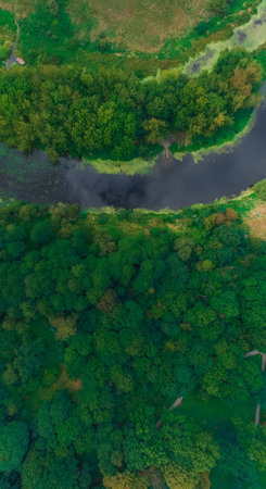 summer natural landscape forest trees green foliage and river stream water aerial drone photography...
