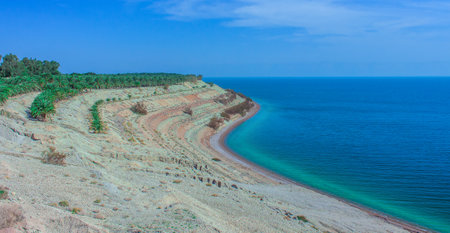 panoramic sea side coast terraces landscape drone aerial view from above south dry palms near water...