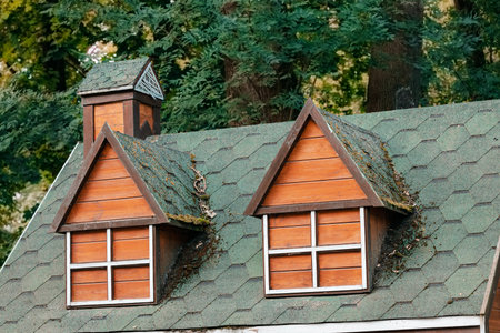 rustic house wooden facade roof tile outdoor architecture wooden element viewの写真素材