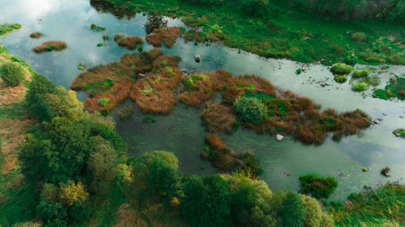 swamp landscape aerial country side nature grass land wet water view vivid colors of spring day...