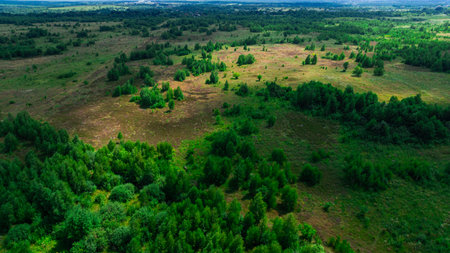 nature country field land valley trees aerial drone photography summer cloudy dayの写真素材
