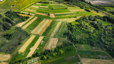 agriculture farming country side idyllic land landscape summer fields occupation for growing aerial drone view scenery spaceの写真素材