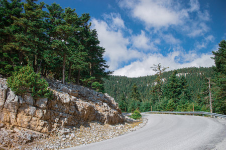 old asphalt spiral car road around mountain hills with evergreen pine forest central Europe Balkans region landscape country side spring environmentの写真素材