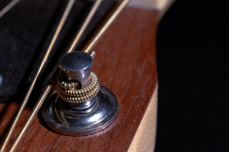 acoustic guitar wooden fingerboard music instrument macro element peg and string narrow focus close...