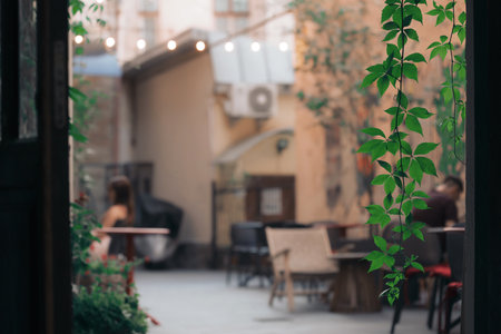 vintage style patio outdoor space for morning coffee decorated by hanging plants and bokeh effect garland lamps photography in neutral pastel beige colorsの写真素材