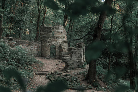 abandoned old castle ruins in the woods forest landscape dusk lighting environment space soft...