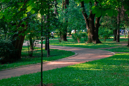 side city place for walking park natural summer time green grass lawn and track curved path outdoor spaceの写真素材
