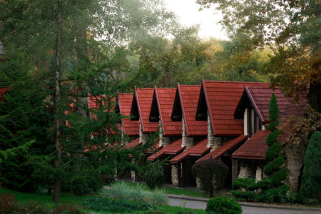 European settlement rural country side wood land natural view with cottage building and tiling roof sun glare effect on skyの写真素材