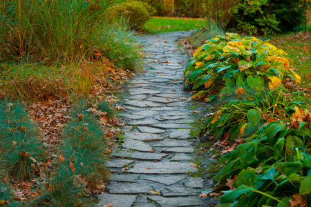 autumn cobble stone park landscaped space golden colorful garden foliage and trail path way perspective outdoor viewの写真素材