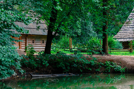 natural space rural settlement wooden log houses near lake and in trees environment in summer time seasonの写真素材