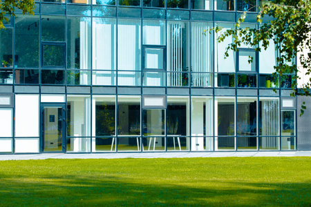 modern office exterior glass wall and windows material facade summer bright vivid day time view perspective building background and green foliage nature foreground frameの写真素材
