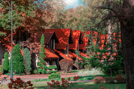 eco village green zone reach settlement cottage manor rural architecture in central Asia region vivid bright sun light natural wood land environment spaceの写真素材