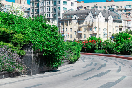 landscaped garden city urban district place plants pavement concrete pedestrian walking road with downtown buildings backgroundの写真素材