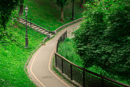 park outdoor scenery walking site paved road track curved shape in green trees and grass hills environment space of landscaped designの写真素材