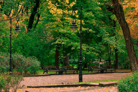 autumn park landscaped place paved track for walking with lanterns and benches city square September aesthetic environmentの写真素材