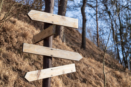 wooden rustic road sign in outskirts environment blurred background space