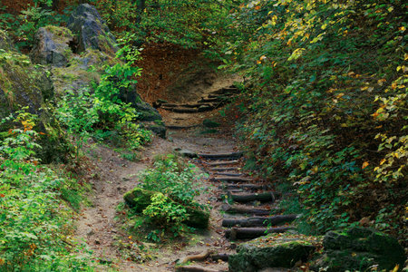 nature landscape forest mountain rock stones and stairs august environment space in wildernessの写真素材