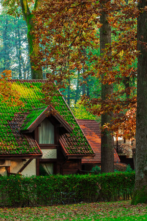 fairy tale fantasy aesthetic of European village cottage rural house roof tile and chimney October aesthetic with moss and orange leaves on trees and misty smoke fuzzy warm lighting vertical pictureの写真素材