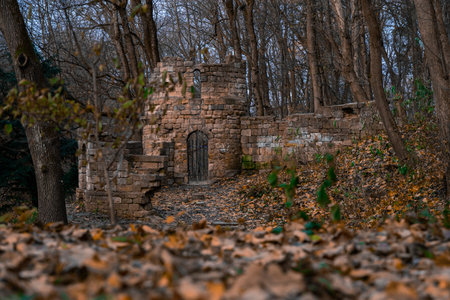 dramatic October Halloween aesthetic forest bare branches and brown falling leaves environment space with stone castle ruins landmark viewの写真素材