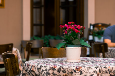 cafe interior room vintage design aged space of table sheet and flower pot with unrecognizable human...