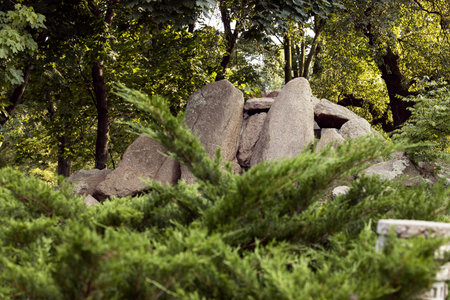 landscaped design natural environment space of stones and floral plants close up spring season time scenic viewの写真素材