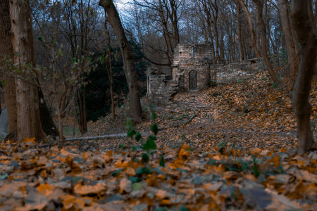 spooky forest abandoned castle dramatic October Halloween season aesthetic nature view with brown falling leaves and gray overcast environmentの写真素材