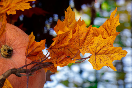 pumpkin and leaves October aesthetic Thanksgiving holidays warm season time close up scenic view