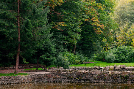 dramatic cold park landscape majestic nature view of evergreen trees near pond fenced by stone...