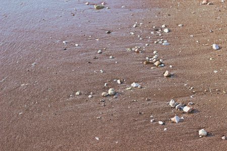dirt ground shore line perspective background narrow focus foreshorteningの写真素材