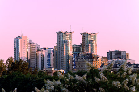 high rise modern city scape skyscrapers megapolis town center business place with foreground blossom garden and evening sunset purple sky backgroundの写真素材