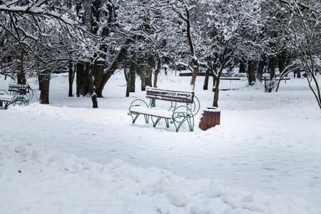 snowy park winter landscape cold season scenic view solitude loneliness place single bench without people here dusk lightingの写真素材