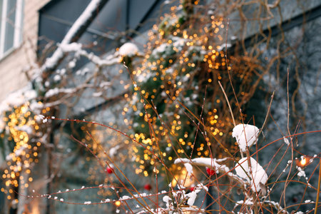 narrow focus of external facade side of shop decorative objects bare branches plants and festive...