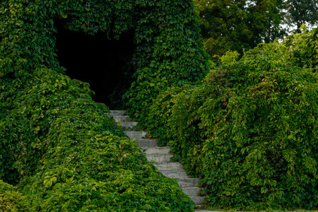 floral foliage building eco developed garden object tunnel passage with concrete stairs, green plants and bushes local landscape viewの写真素材