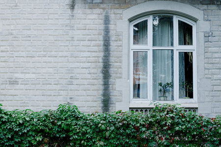 vintage aesthetic clean cottage core white wall brick background and window frame external side in...