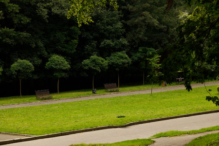 grass lawn square alley way for peacefully promenade with benches in trees environment space...