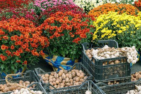 village market rustic retail place with flowers and box of walnutの写真素材