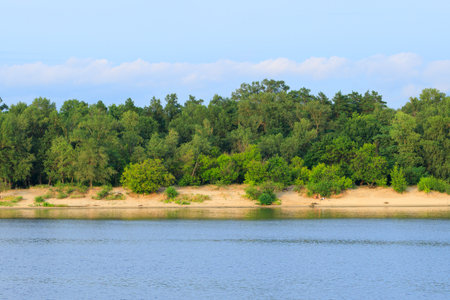 coast line river side sandy beach horizon landscape water trees and sky clear weather summer time...