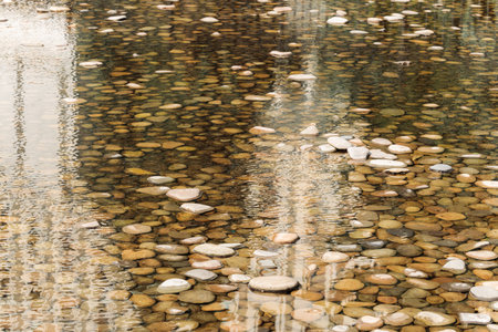 bottom stones shallow water brown color wet environment space background viewの写真素材