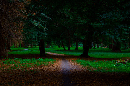 A serene pathway meanders through a park during autumn, bordered by lush green grass and a carpet of...