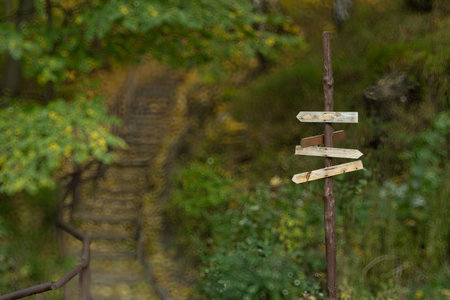 A weathered wooden signpost with multiple directional arrows stands beside a rustic staircase...