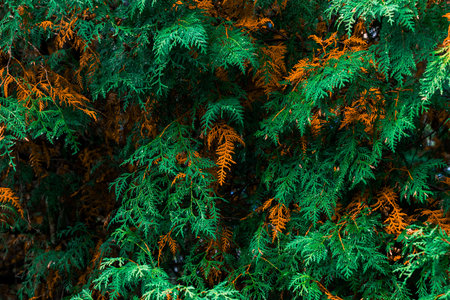 vivid saturated color of brown and green leaves background floral pattern