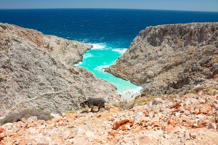 Seitan limania beach on Crete, Greece. Travel tourism wide panorama background concept. Beautiful beach with turquoise water natural landscape of Seitan Limania.の写真素材