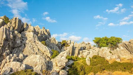 Landscape with mountains and tree on them. Rocks with trees and blue sky. Greece, Crete.