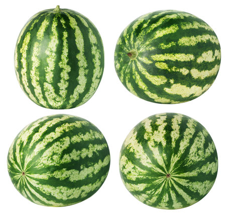 Isolated watermelons. Collection of watermelon fruits isolated on white background with clipping pathの写真素材